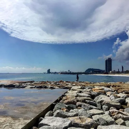 Lejlighed Charm Miro